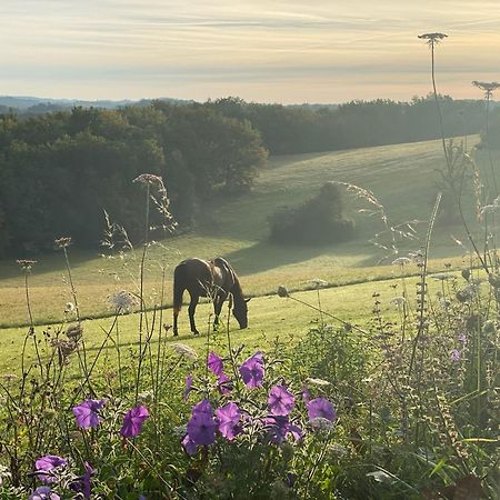 Domaine de Cazal - Gîte 2 pers Saint-Cyprien  Esterno foto