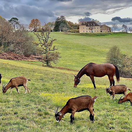 Domaine de Cazal - Gîte 2 pers Saint-Cyprien  Esterno foto