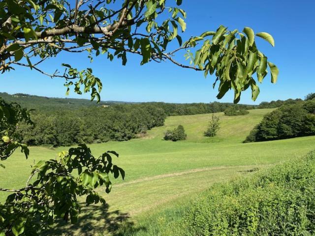 Domaine de Cazal - Gîte 2 pers Saint-Cyprien  Esterno foto